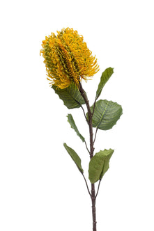 Emerald Kunstbloem Banksia geel 57cm