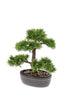Emerald Kunstplant Bonsai Ceder 32cm