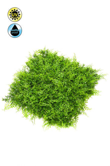 Emerald Kunst Plantenwand Varen/juniperus 50x50cm