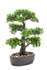 Emerald Kunstplant Bonsai Ficus mini 43cm
