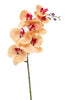Emerald Kunstbloem Phalaenopsis RT peach/beauty 83cm