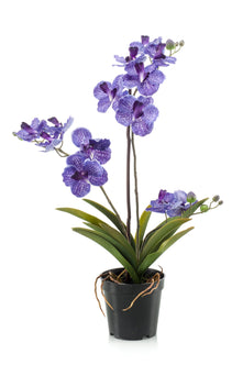 Emerald Kunstplant Vanda x3 in pot paars 60cm