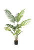 Emerald Kunstplant Paradise Palm 140cm
