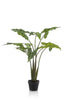 Emerald Kunstplant Alocasia Frydek 120cm