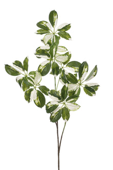 Emerald Kunsttak Schefflera 110cm