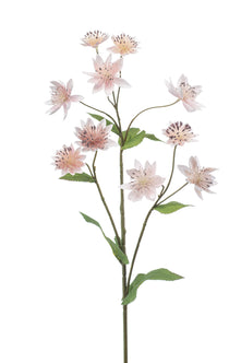 Emerald Kunstbloem Astrantia lichtroze 70cm