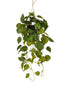 Emerald Kunst Hangplant Scindapsus in pot groen/geel 70cm