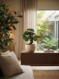 Emerald Kunstplant Bonsai Ficus mini 32cm