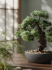 Emerald Kunstplant Bonsai Ficus mini 43cm