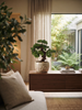 Emerald Kunstplant Bonsai Ficus mini 43cm