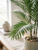 Emerald Kunstplant Chamaedorea Palm 180cm