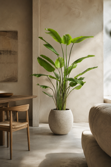 Emerald Kunstplant Strelitzia Nicolai 180cm