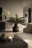 Emerald Kunstplant Cycas Palm 45cm