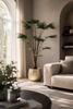 Emerald Kunstplant Livistona Palm 240cm