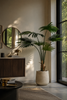Emerald Kunstplant Livistona Palm 240cm