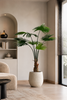 Emerald Kunstplant Livistona Palm 240cm