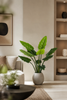 Emerald Kunstplant Philodendron 120cm bordeaux