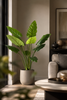 Emerald Kunstplant Philodendron 120cm bordeaux