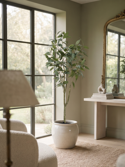 Emerald Kunstboom Eucalyptus Globulus 115cm