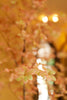 Emerald Kunstboom Tropaeolum 245cm