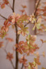 Emerald Kunstboom Tropaeolum 245cm