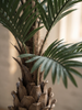 Emerald Kunstboom Palm UV 210cm