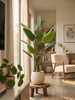 Emerald Kunstplant Strelitzia 190cm